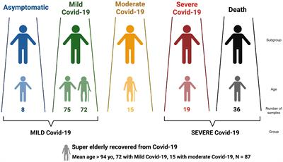 MUC22, HLA-A, and HLA-DOB variants and COVID-19 in resilient super-agers from Brazil
